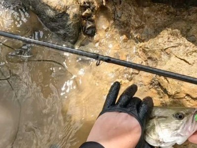 背着路亚去钓鱼，畅游钓鱼新境界（探索便捷钓鱼方式，尽享自在垂钓乐趣）