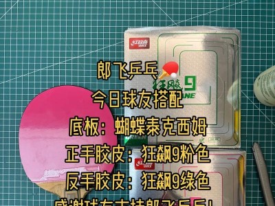探索三维乒乓球底板排名的新视角（突破传统界限，开启全新竞技时代）