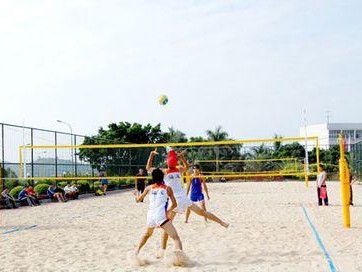 沙滩排球和室内排球的动作要领（掌握沙滩排球和室内排球的技巧，享受比赛乐趣）