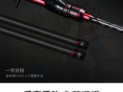 挑选适合钓鱼爱好者的普通钓鱼杆伸缩路亚竿套装（全套装备，让您成为钓鱼高手）