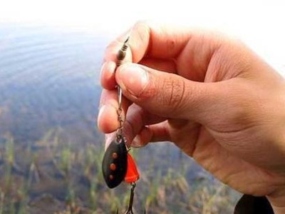 以路亚竿装单钩也能钓鱼吗？（探索使用以路亚竿装单钩钓鱼的可能性）