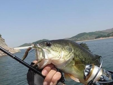 探秘路亚海钓场的钓鱼技巧和方法（挑战海钓新玩法，尽在路亚海钓场）