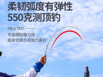 以路亚竿能当正常竿钓鱼吗？（探讨以路亚竿作为正常竿的可行性及其应用范围）