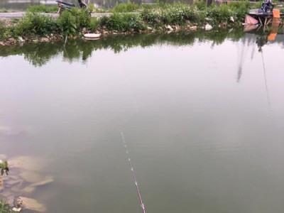 连续阴天钓鱼的利与弊（探讨路亚钓法在不同天气条件下的表现）