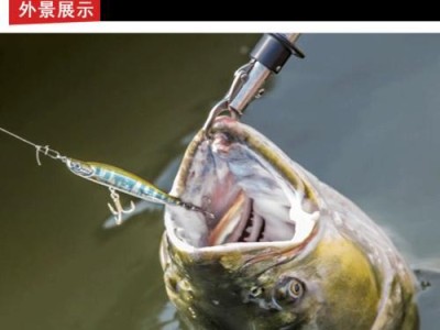 探讨以路亚禁用渔具的原因（维护鱼类资源可持续发展的重要措施）