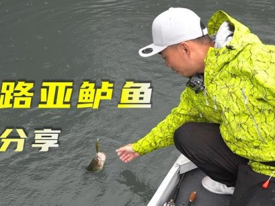 探讨以先打窝再用路亚钓鱼的技巧与经验（窥探博主分享的先打窝再用路亚钓鱼的秘诀和心得）
