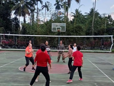 排球发球技术的要领（掌握发球技巧，提升比赛竞争力）