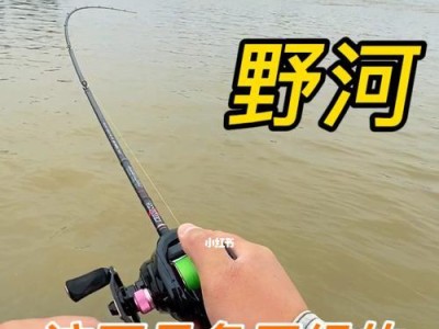 乡村野河钓鱼的路亚饵选择与技巧（挑选适合乡村野河钓鱼的路亚饵，让你的钓鱼之旅更加成功）
