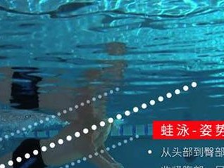 如何掌握快速蛙泳技巧（游得更快的关键在于提高身体协调性）