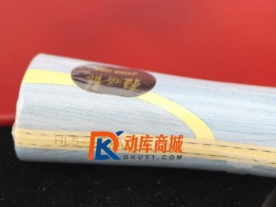 乒乓球字母编号的奥秘（揭开乒乓球字母编号的背后含义）