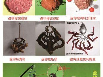 路亚钓鱼中铅的选择与使用（选择合适的铅重是路亚钓鱼成功的关键）