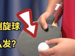 乒乓球技巧大全（从基础到高级，掌握乒乓球技巧的秘诀）