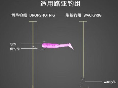 选择合适长度的路亚杆，享受野钓乐趣（为钓鱼而选杆，让你的钓鱼之旅更加完美）