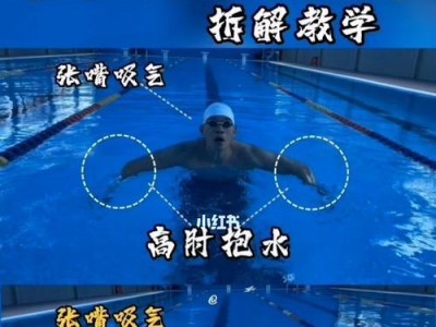 蛙泳呼吸换气的技巧与方法（掌握正确的呼吸节奏，游得更轻松自如）