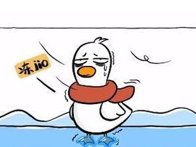 掌握游泳技巧，轻松去除湿气（用正确的方法游泳，告别湿气困扰）
