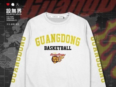 2009NBA球队薪资排行榜（揭秘当年薪资最高的NBA球队和球员，让你惊讶不已！）