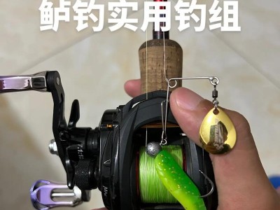 以路亚能不能到河里钓鱼？（探索路亚在河流钓鱼的可行性与技巧）
