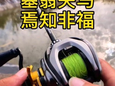 桥上路亚钓鱼攻略（在桥上如何巧妙运用路亚竿钓到鱼群）