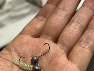 探讨以路亚为什么带浮标钓鱼不好钓（浮标会影响钓鱼效果，探索其原因）