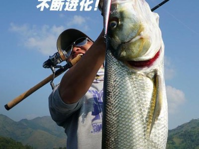 长江海竿钓鱼路亚的技巧与选择（掌握这些关键，成为钓鱼达人）