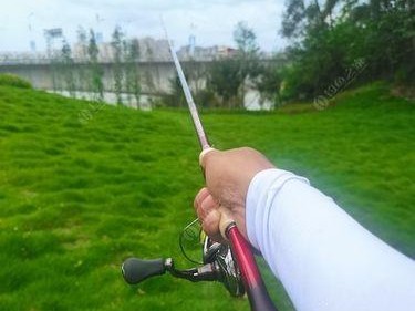 海竿路亚钓鲫鱼技巧大揭秘！（掌握路亚技巧，轻松捕获丰富的鲫鱼资源）