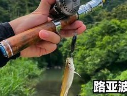 掌握技巧，让钓鱼大师路亚飞得更远（突破距离限制，提升路亚钓鱼水平）