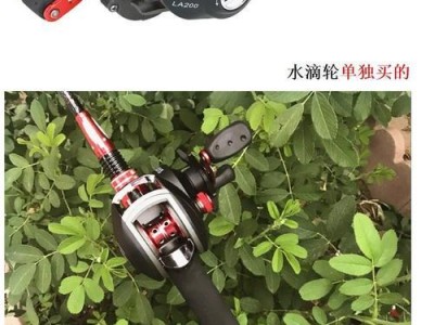去水库钓鱼（探讨适合在水库钓鱼的最佳工具与技巧）