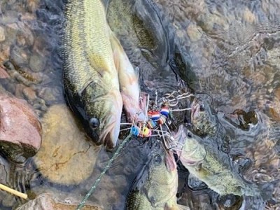 路亚好钓鱼的最佳时间点（探讨路亚钓鱼中最佳时间点选择的关键因素）