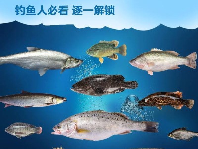 探秘路亚钓鱼（提升钓鱼技术，捕获丰富鱼群）