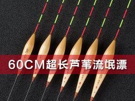 探讨以路亚是否适用于鱼漂钓鱼（以路亚与传统钓法的比较及应用场景解析）