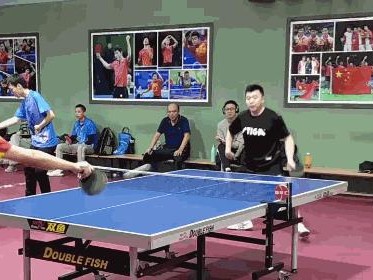 如何找到一位合适的乒乓球摆短技巧教练？（掌握乒乓球摆短技巧，寻找专业教练助你一臂之力！）