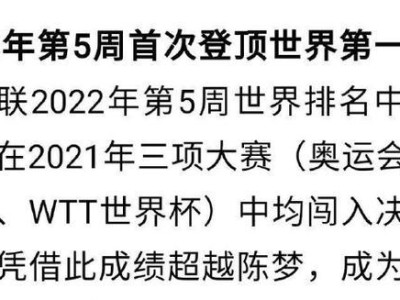 乒乓球世界排行榜的背后故事（揭秘排名第一背后的努力与才华）