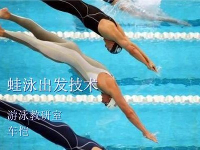 游泳技巧组合少儿和儿童（培养孩子健康成长的必备技能）