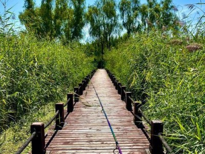 顺义柳各庄桥路亚钓鱼探秘（柳各庄桥路亚钓鱼的乐趣与技巧）