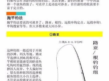 路亚软虫钓鱼技巧详解（掌握穿钩技巧，成为优秀路亚钓手）