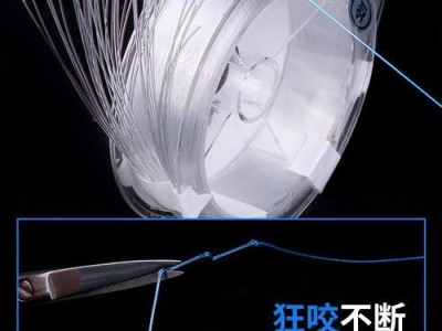 路亚钓鱼竿线的组装技巧（掌握正确的组装方法，提高钓鱼效果）