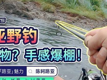 以路亚手竿钓鱼技巧——打窝的正确方法（钓鱼新手必备，轻松掌握打窝技巧）