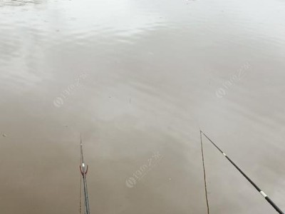 下雨天钓鱼是否好钓？（探究雨天对路亚钓鱼的影响及钓法技巧）