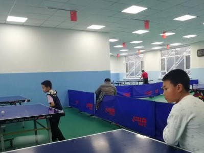 乒乓球快速入门训练指南（从零开始成为乒乓球高手，轻松掌握击球技巧与战术策略）