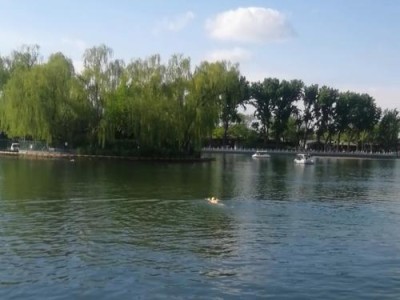 岸上游泳技巧大全（如何在岸上练习游泳，提高技巧和水性）