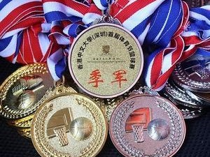 乒乓球世界冠军的辉煌征程（以乒乓球最大的奖牌为见证，追寻胜利与荣誉的足迹）