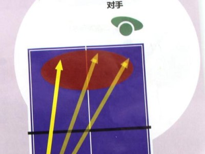 乒乓球业余打法和技巧（提升乒乓球业余水平，助你成为球坛新秀）