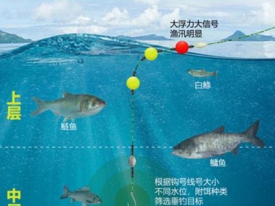 如何选择适合的路亚竿钓鱼线组（钓鱼线组的关键要素与技巧解析）