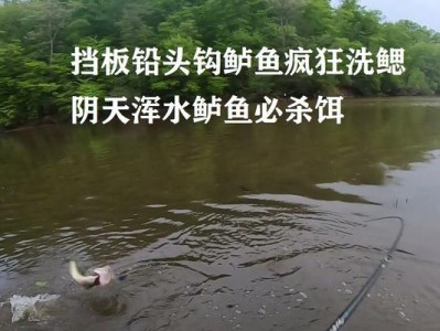 探讨以路亚竿钓鱼的最佳时机（了解合适的条件，提升钓鱼的成功率）