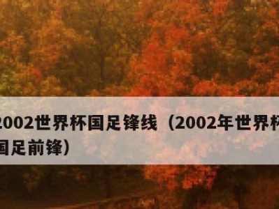国足第一次世界杯历史成绩（中国足球走进世界舞台的第一步，）