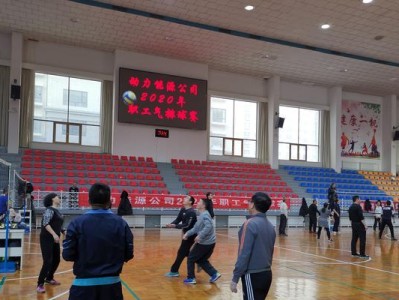 掌握空气动力排球技术轻松驰骋球场（挥洒汗水空中征战）