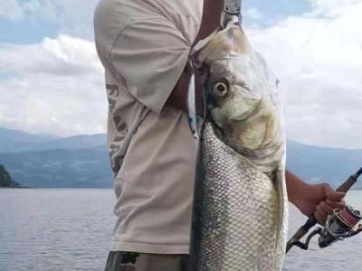 夏季路亚翘嘴钓鱼的技巧与经验（挑战夏季高温，提升路亚翘嘴钓鱼的效果）