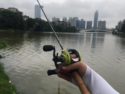 运河里的路亚钓鱼之技巧与经验（探秘运河中的钓鱼宝地，教你如何用路亚钓鱼）