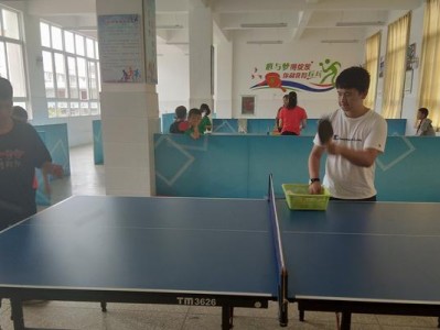 揭秘体校乒乓球水平测试的奥秘（全面解析体校乒乓球水平测试的内容和标准）