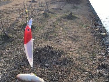 新手玩路亚钓鱼的技巧与经验（从零开始掌握路亚钓鱼的窍门，成为钓鱼高手！）
